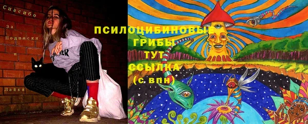 2c-b Балабаново