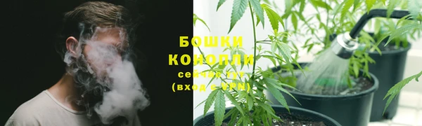 2c-b Балабаново